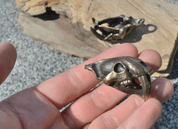 SMILODON, SABERTOOTH TIGER SKULL PENDANT, MASSIVE JEWEL, TIN, BRASS COLOUR - TIERE ANHÄNGER