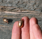 ACORN, OAK PENDANT, BRONZE - BRONZE HISTORICAL JEWELS