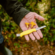 MUSHROOM - FINNISH MUSHROOM KNIFE - MARTTIINI - SWISS ARMY KNIVES