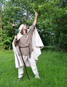 CELTIC DRUID, COSTUME RENTAL - COSTUME RENTALS