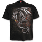 OBSIDIAN - T-SHIRT BLACK - MEN'S T-SHIRTS, SPIRAL DIRECT