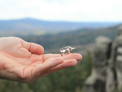 KELTISCHE EBER, TABOR, BÖHMEN, ANHÄNGER, SILBER - ANHÄNGER - SCHMUCK, SILBER