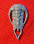 TRILOBITE, PENDENTIF EN ARGENT, AG 925 - CRÉATURES PRÉHISTORIQUES