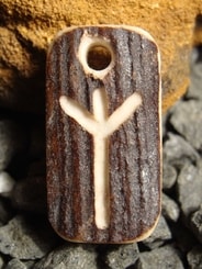 ALGIZ RUNE, deer antler pendant