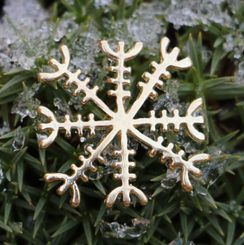 Aegishjalmur - Helm of Awe, Icelandic Magical Rune, gold plated