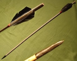 ARROW - Turkey Fletching and Blunt Arrow Head