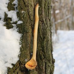 FOR COFFEE, carved spoon