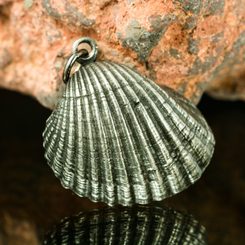 SHELL, pewter pendant