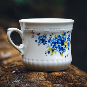 MYOSOTIS, TASSE 0,26 L, CARLSBAD PORCELAINE - TASSES EN PORCELAINE{% if kategorie.adresa_nazvy[0] != zbozi.kategorie.nazev %} - VERRE ET CÉRAMIQUE{% endif %}