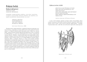 HERBS OF THE ANCIENT TIMES - BÜCHER{% if kategorie.adresa_nazvy[0] != zbozi.kategorie.nazev %} - BÜCHER, KARTEN, AUTOAUFKLEBER{% endif %}