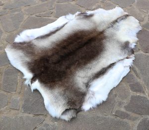 REINDEER FUR, IMPORT: LAPLAND - LEATHER, FURS, SKINS, PERGAMENS{% if kategorie.adresa_nazvy[0] != zbozi.kategorie.nazev %} - BUSHCRAFT, LIVING HISTORY, CRAFTS{% endif %}