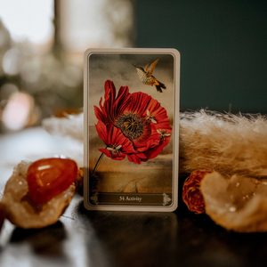 TAROTKARTEN, CHRISTEPHANIA KIPPER GB - MAGIKZUBEHÖR{% if kategorie.adresa_nazvy[0] != zbozi.kategorie.nazev %} - MAGIK{% endif %}