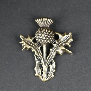 SCOTTISH THISTLE - ALBA, ZINC PENDANT, ANTIQUE BRASS - ALL PENDANTS, OUR PRODUCTION{% if kategorie.adresa_nazvy[0] != zbozi.kategorie.nazev %} - JEWELLERY - BRONZE, ZINC{% endif %}