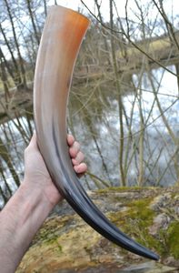 LONG VIKING DRINKING HORN  - 0.7 L - DRINKING HORNS{% if kategorie.adresa_nazvy[0] != zbozi.kategorie.nazev %} - HORN PRODUCTS{% endif %}