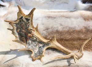 ODIN, NORSE GOD, ANTLER - SCRIMSHAW - PRODUCTS FROM ANTLER, WOOD{% if kategorie.adresa_nazvy[0] != zbozi.kategorie.nazev %} - HOME DECOR{% endif %}