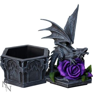 DRAGON BEAUTY BOX, 25CM - BOXES, PENCIL CASES{% if kategorie.adresa_nazvy[0] != zbozi.kategorie.nazev %} - PAGAN DECORATIONS{% endif %}