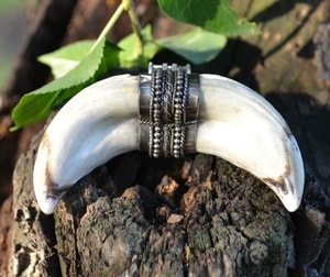 BOAR TUSK NECKLACE, ORIGINAL GRANULATION, AG 925 - PENDANTS{% if kategorie.adresa_nazvy[0] != zbozi.kategorie.nazev %} - SILVER JEWELLERY{% endif %}