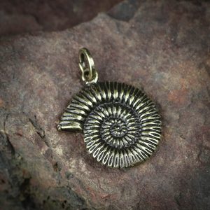 AMMONITE, PENDANT, ZINC ANTIQUE BRASS - ALL PENDANTS, OUR PRODUCTION{% if kategorie.adresa_nazvy[0] != zbozi.kategorie.nazev %} - JEWELLERY - BRONZE, ZINC{% endif %}