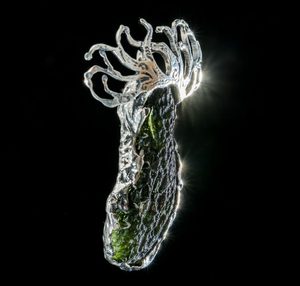 ARBOR VITAE, CZECH MOLDAVITE STERLING SILVER PENDANT - MOLDAVITES, CZECH{% if kategorie.adresa_nazvy[0] != zbozi.kategorie.nazev %} - SILVER JEWELLERY{% endif %}