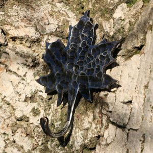 MAPLE LEAF, KEY HANGER / CLOTHES HANGER - FORGED PRODUCTS{% if kategorie.adresa_nazvy[0] != zbozi.kategorie.nazev %} - SMITHY WORKS, COINS{% endif %}