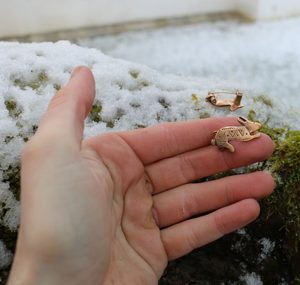 RABBIT, ROMAN FIBULA, REPLICA, BRONZE - BRONZE HISTORICAL JEWELS{% if kategorie.adresa_nazvy[0] != zbozi.kategorie.nazev %} - JEWELLERY - BRONZE, ZINC{% endif %}