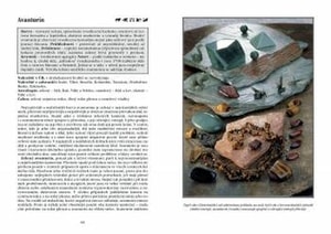 CRYSTALS AND OTHER GEMS IN HEALING PRACTICES - BÜCHER{% if kategorie.adresa_nazvy[0] != zbozi.kategorie.nazev %} - BÜCHER, KARTEN, AUTOAUFKLEBER{% endif %}