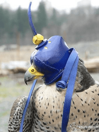 FALCONRY HOOD XXVII