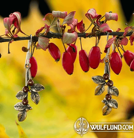 CANNEBERGES, BOUCLES D'OREILLES, BRONZE