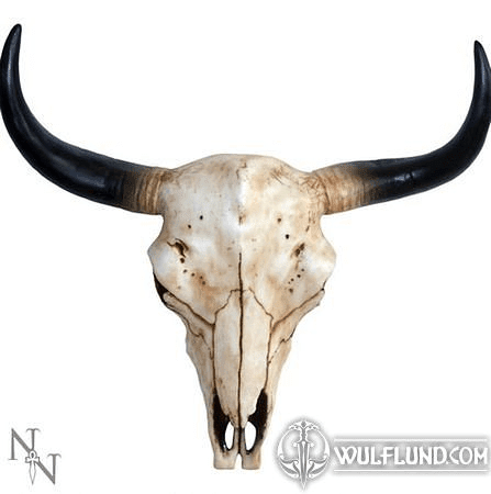 BISON, BUFFALO SKULL DECORATION