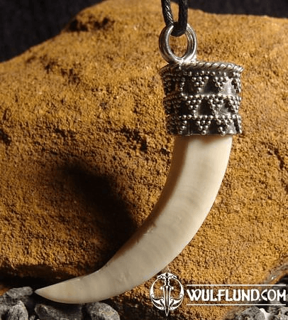 WILD BOAR TUSK, SILVER 925, GRANULATION