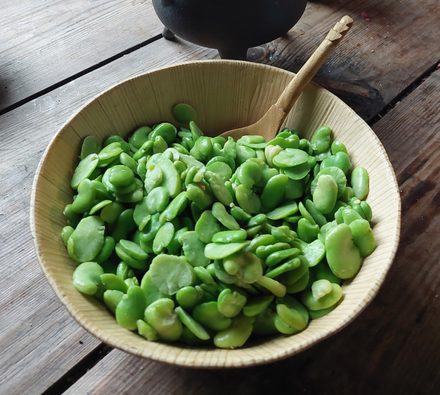 Bean porridge, a medieval recipe from the 14th century