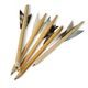 5 DARTS FOR THE MINICROSSBOW