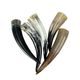 Set de 5 cornes 0.3l