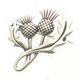 CHARDON ÉCOSSAIS - broche en argent, Ag 925