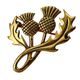Schottischer Distel, Bronze-Brosche