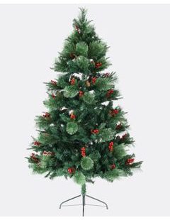 Vianočný stromček Borovica nevadská