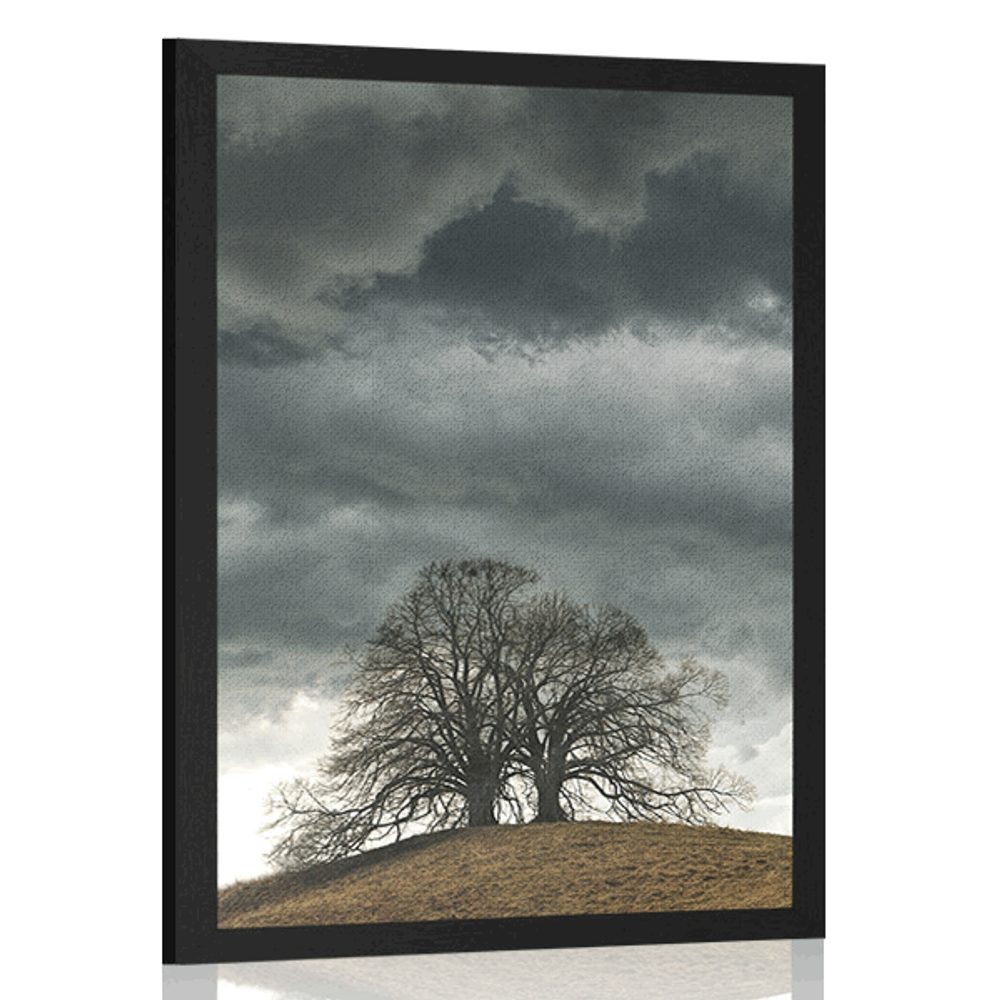 Plakát osamělé stromy
