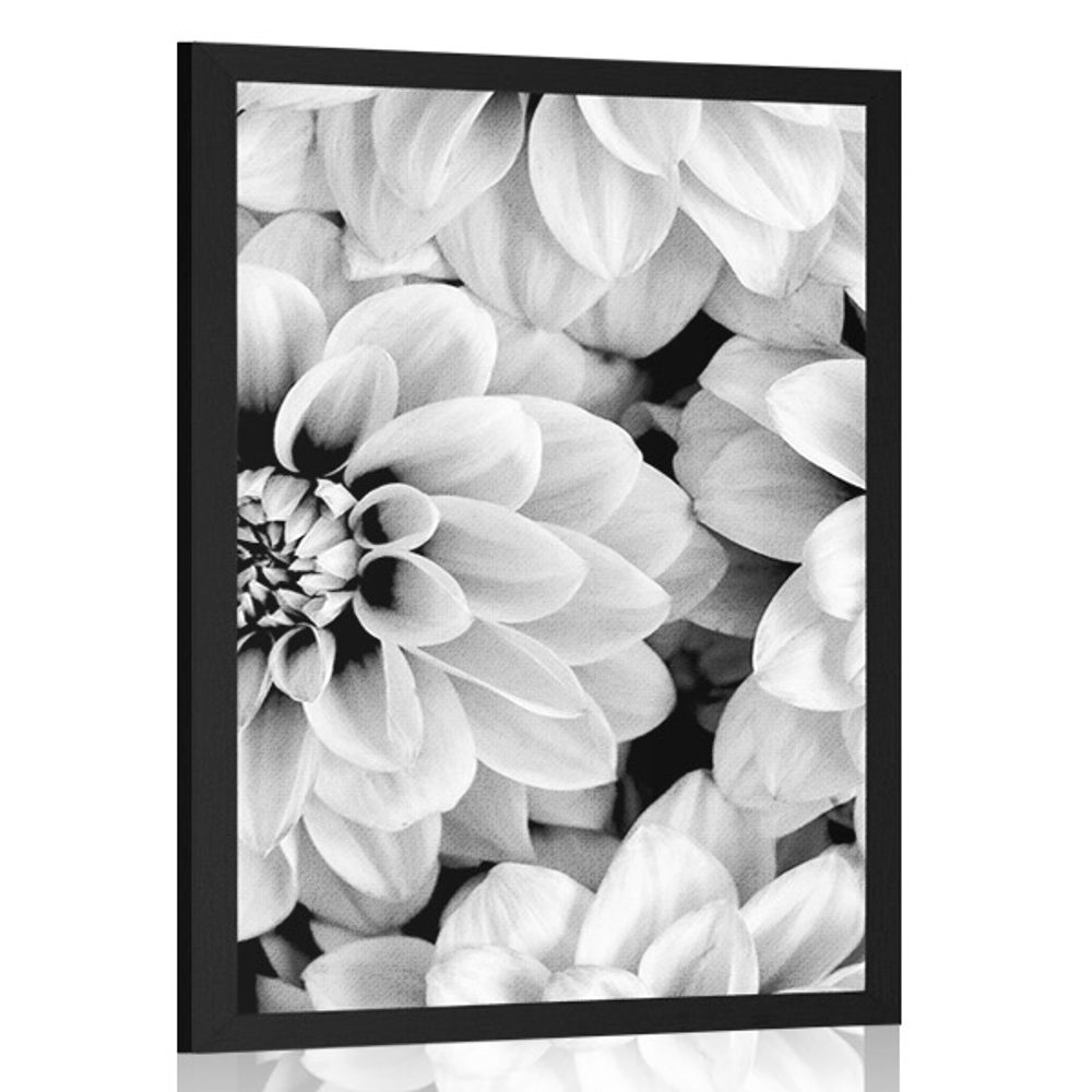 Plakát květiny dálí v černobílém provedení