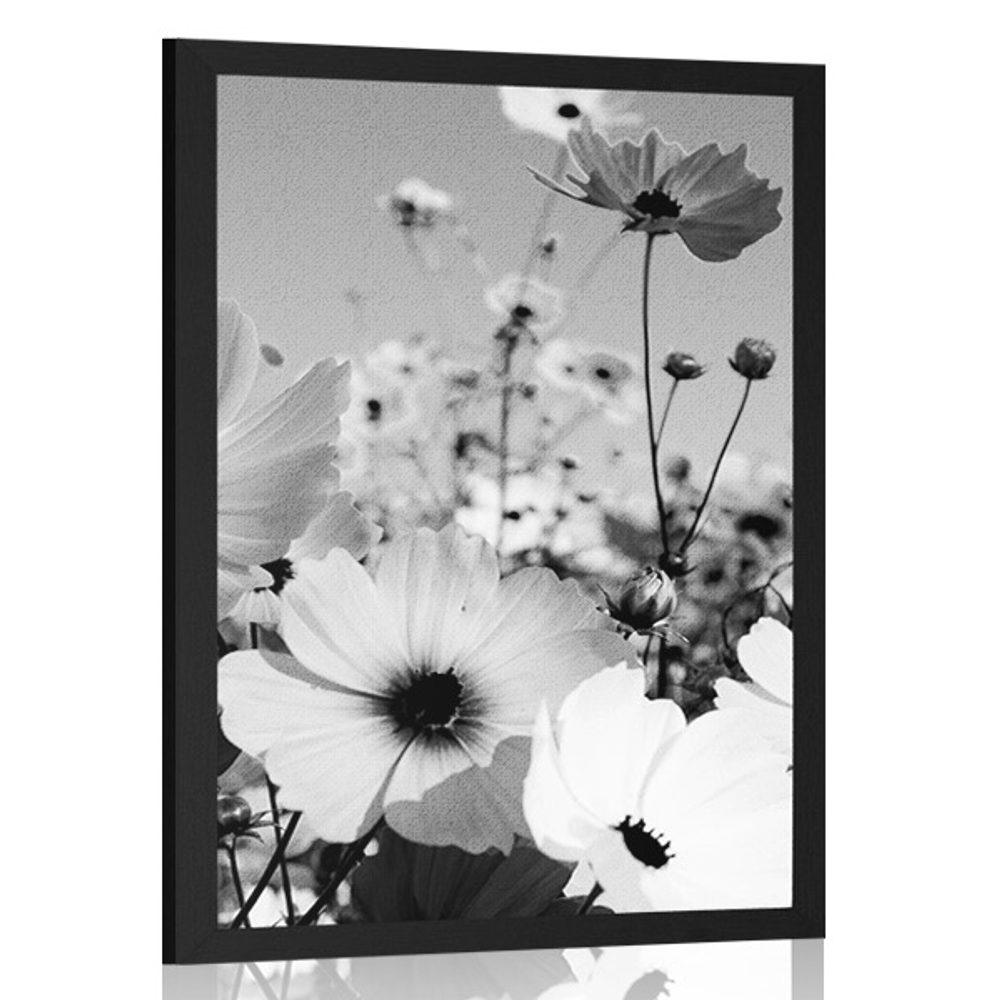 Plakát louka jarních květin v černobílém provedení