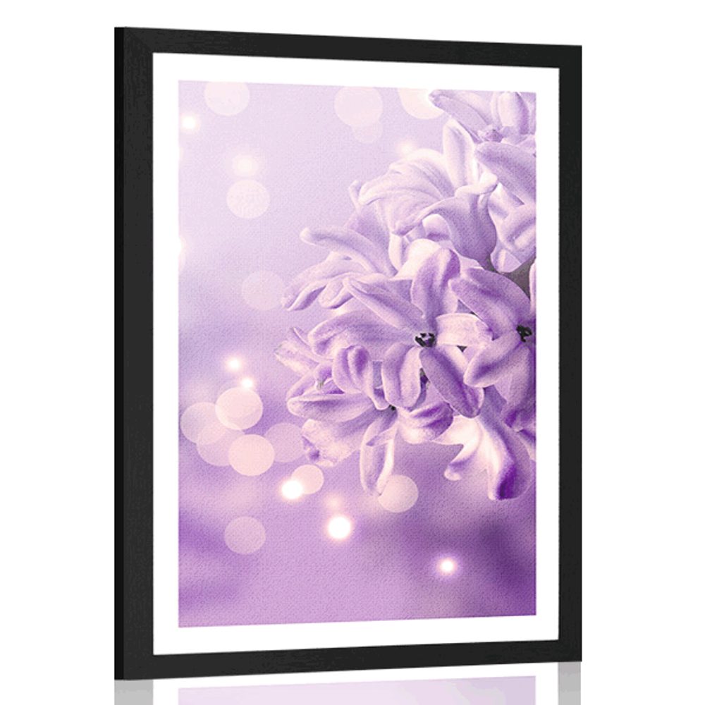 Plakát s paspartou fialový květ šeříku