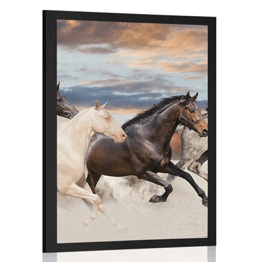 Plakát stádo koní