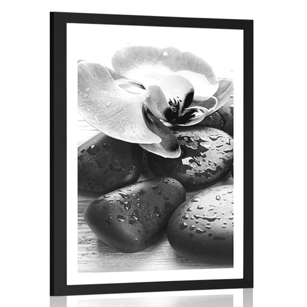 Plakát s paspartou krásná souhra kamenů a orchideje v černobílém provedení