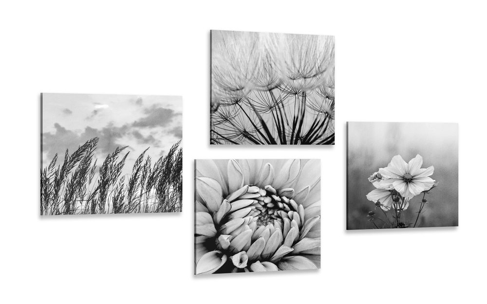 Set obrazov čiernobiela lúka s kvetmi