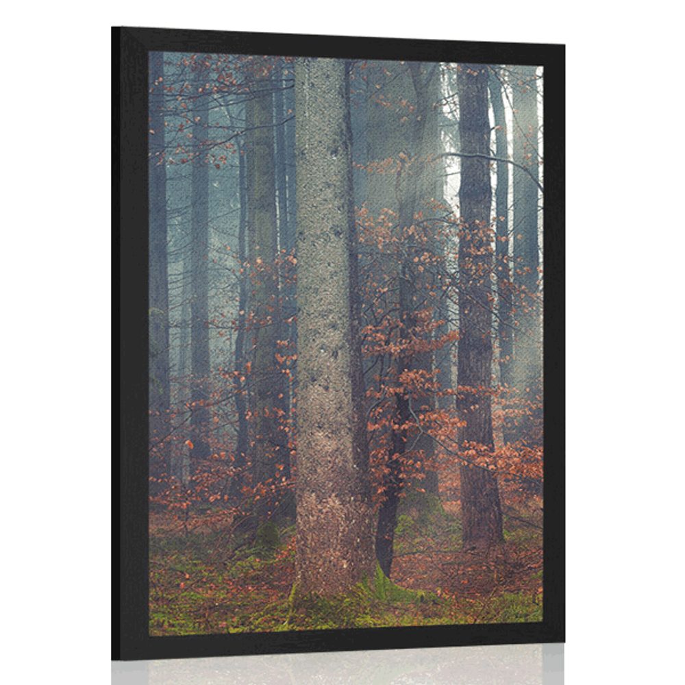 Plakát tajemství lesa