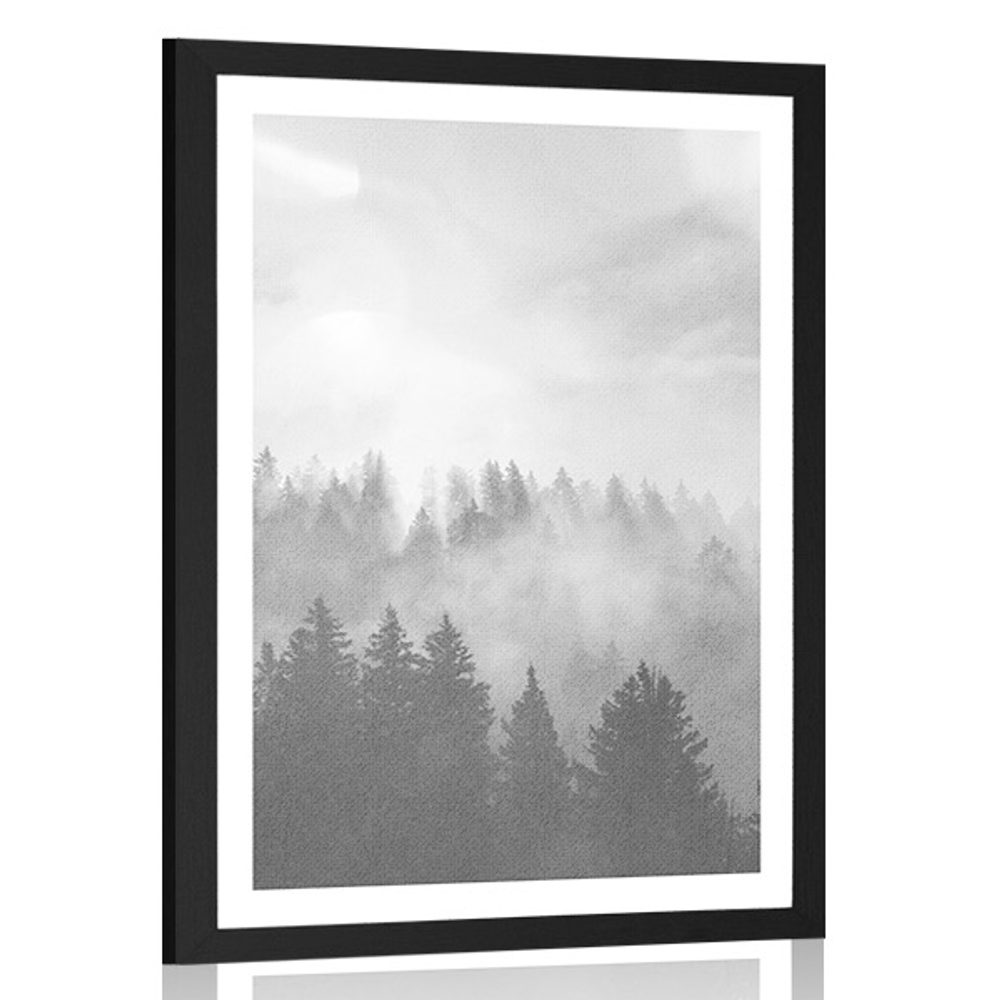 Plakát s paspartou mlha nad lesem v černobílém provedení