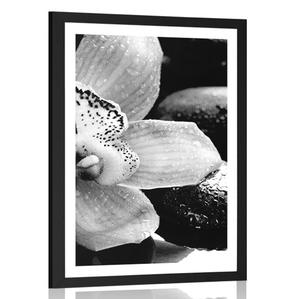 Plakát s paspartou exotická orchidej v černobílém provedení