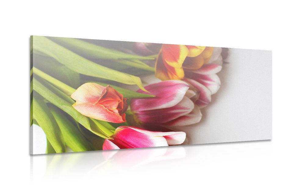 Obraz kytice barevných tulipánů
