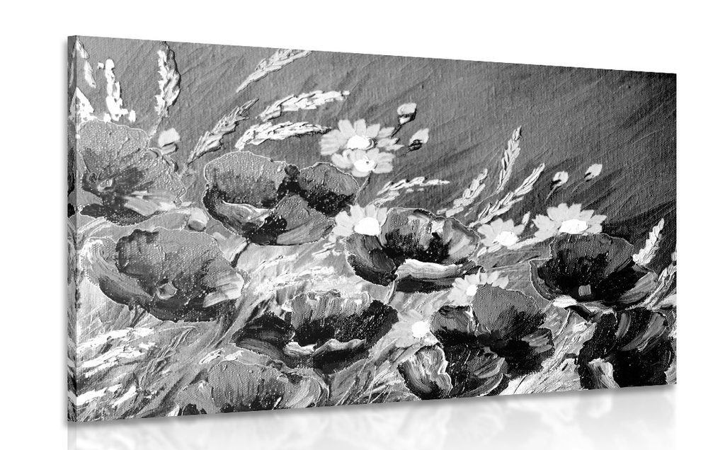 Obraz maľované poľné maky v čiernobielom prevedení