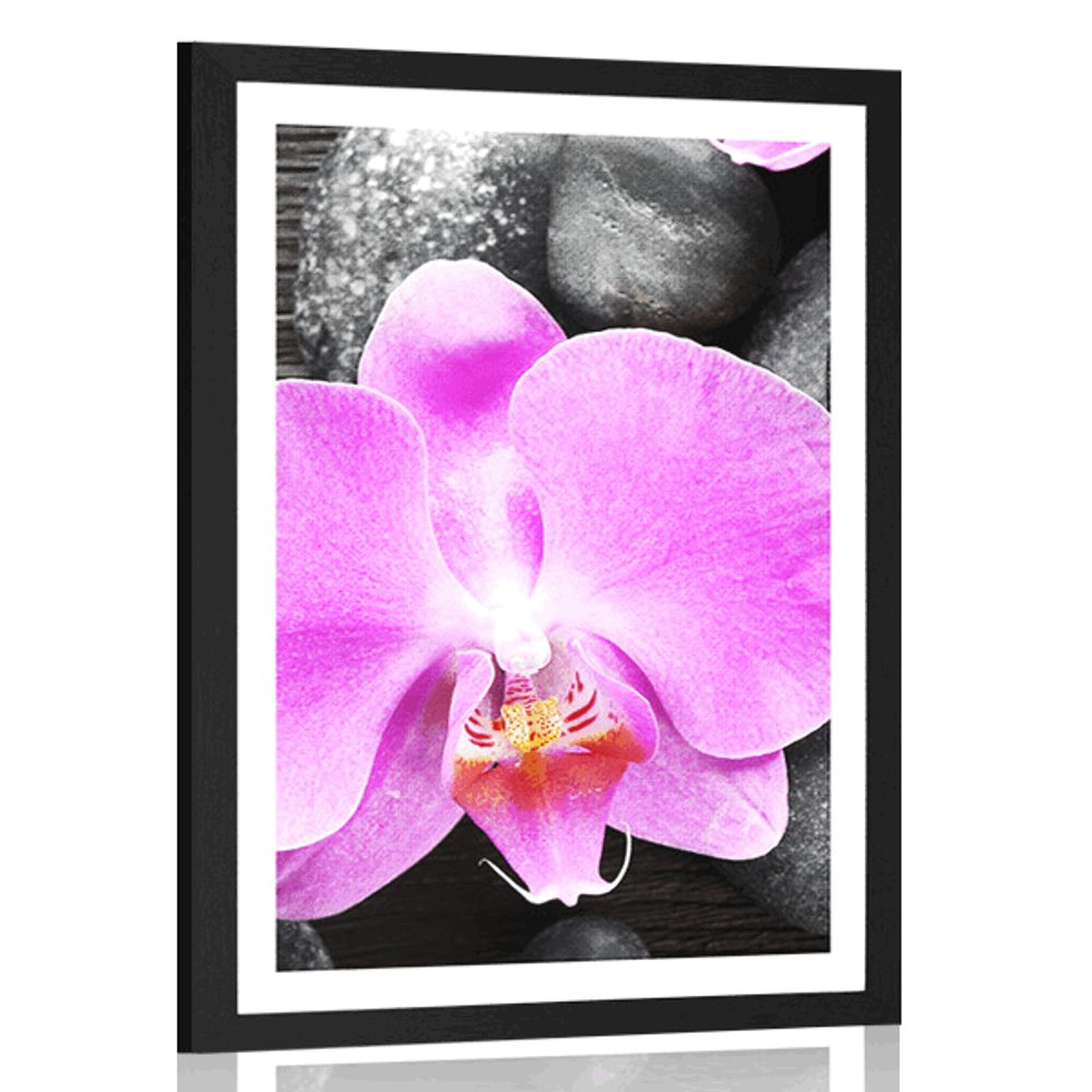 Plakát s paspartou nádherná orchidej a kameny