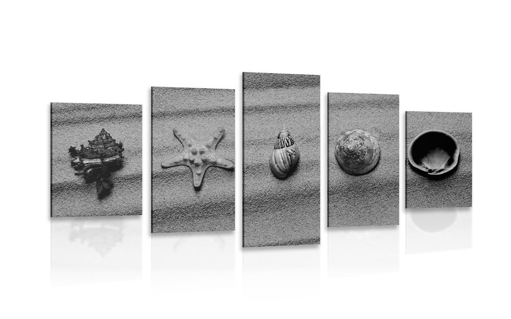 5-dílný obraz mušle na písečné pláži v černobílém provedení